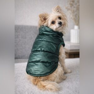 🎉HP🎉Fashion Pet Cosmo Puffy Coat Emerald size Medium NWT
